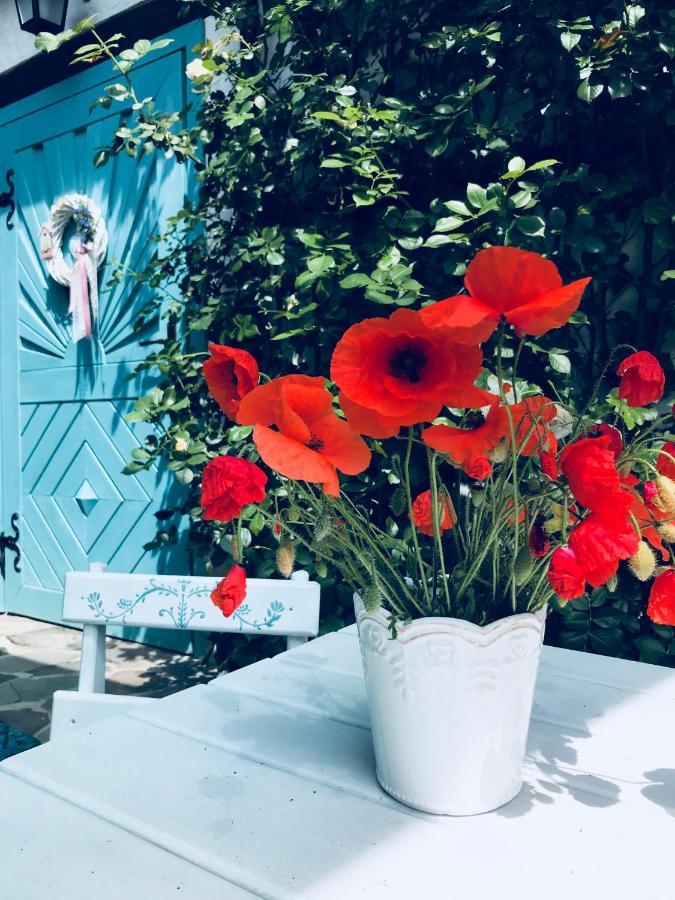 Casa Cu Suflet Ξενοδοχείο Σιγκισοάρα Εξωτερικό φωτογραφία